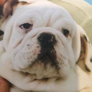 Meet your Posher, Cindy